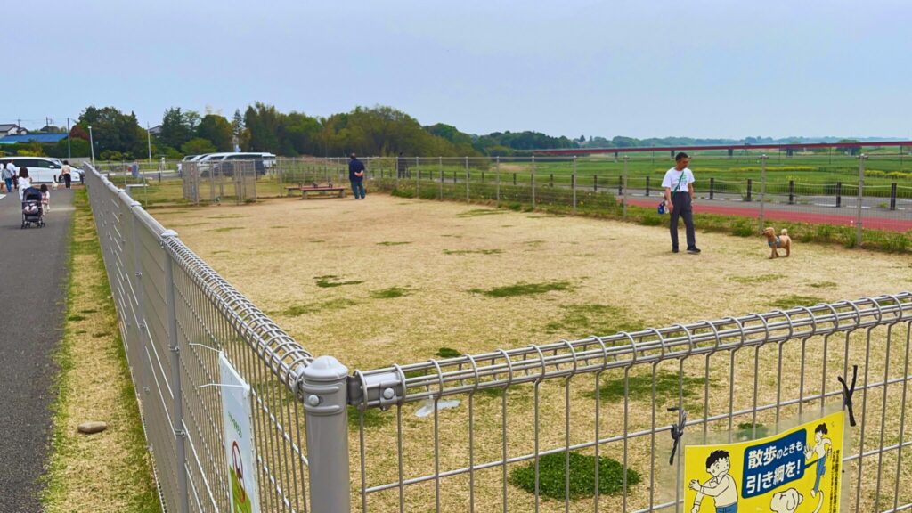 大間近隣公園(大間見晴らしの丘)のドッグランパークの小型犬・中型犬エリア