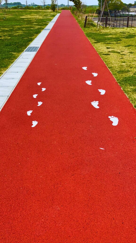 大間近隣公園(大間見晴らしの丘)の遊歩道
