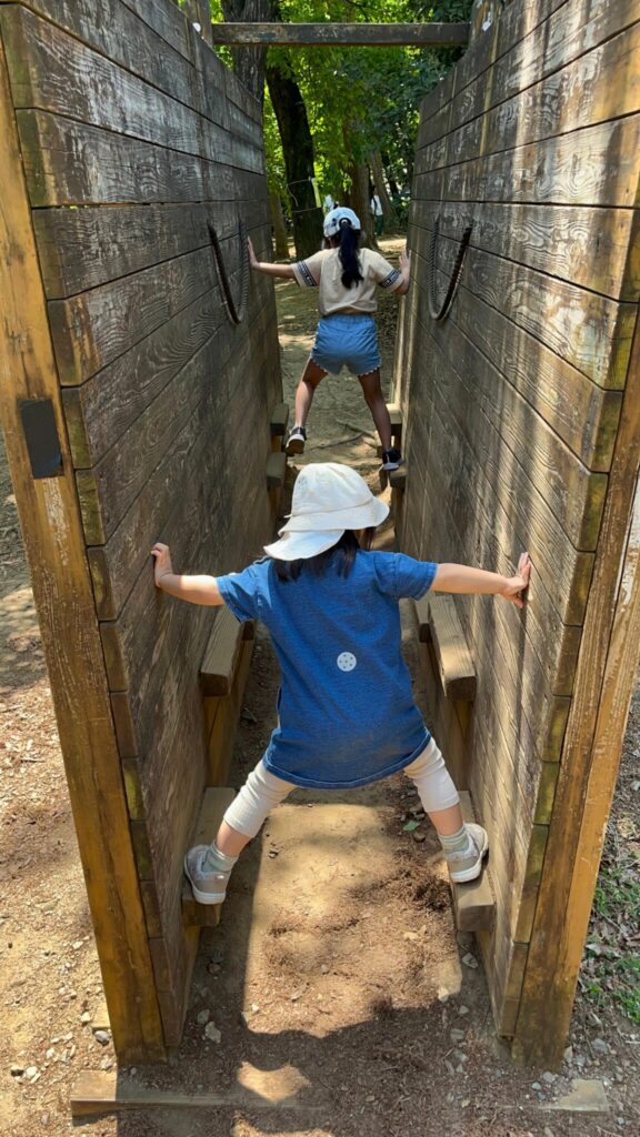 埼玉県子ども動物自然公園の冒険の森アスレチック「谷渡り」