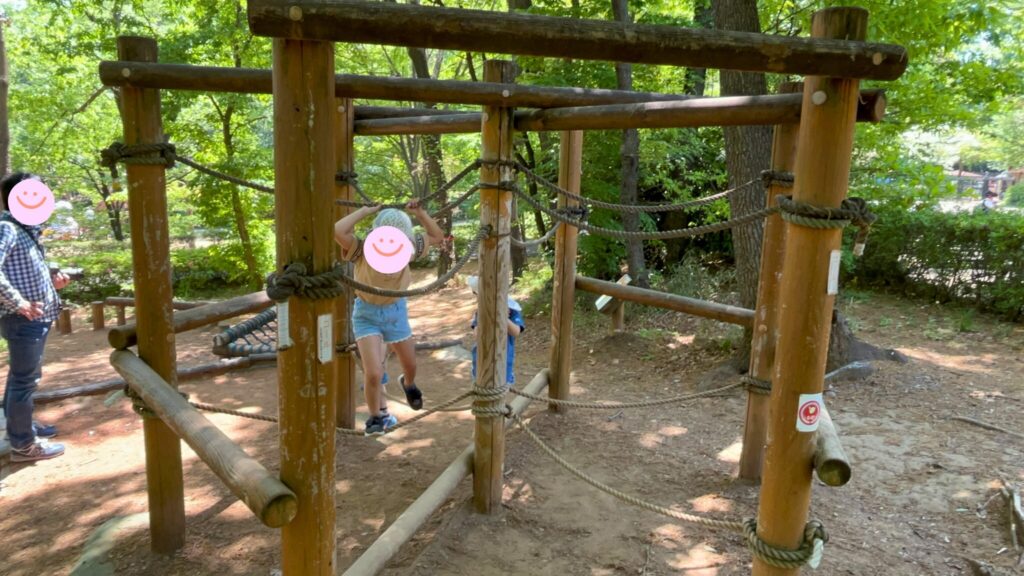 埼玉県子ども動物自然公園の冒険の森アスレチック「くもの巣ジャングル」