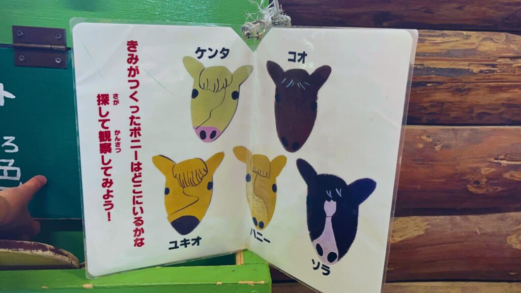 埼玉県子ども動物自然公園の馬小屋のポニーパズル見本
