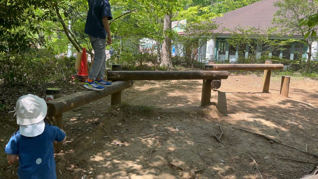 埼玉県子ども動物自然公園の冒険の森アスレチック「丸太の平均台」