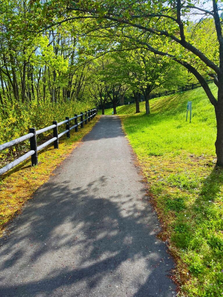 地附山公園の散策道