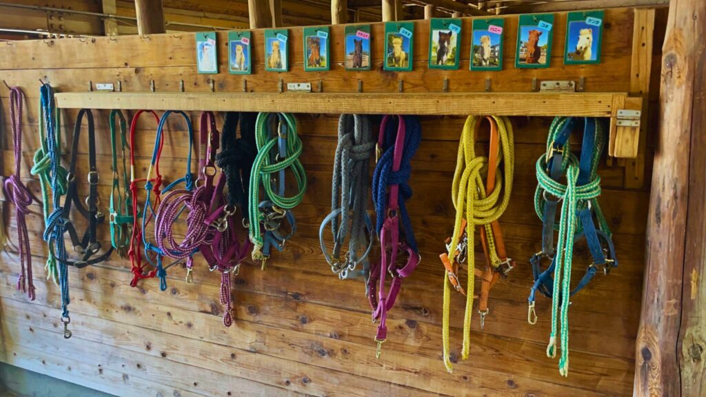 埼玉県子ども動物自然公園の馬小屋にある手綱