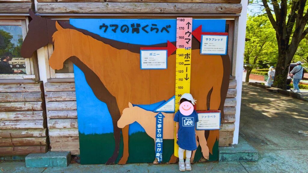 埼玉県子ども動物自然公園の馬小屋の背比べパネル