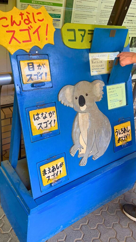 埼玉県子ども動物自然公園のコアラの説明パネル