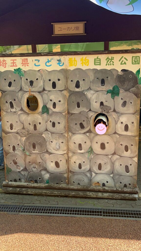 埼玉県子ども動物自然公園のコアラの顔はめパネル