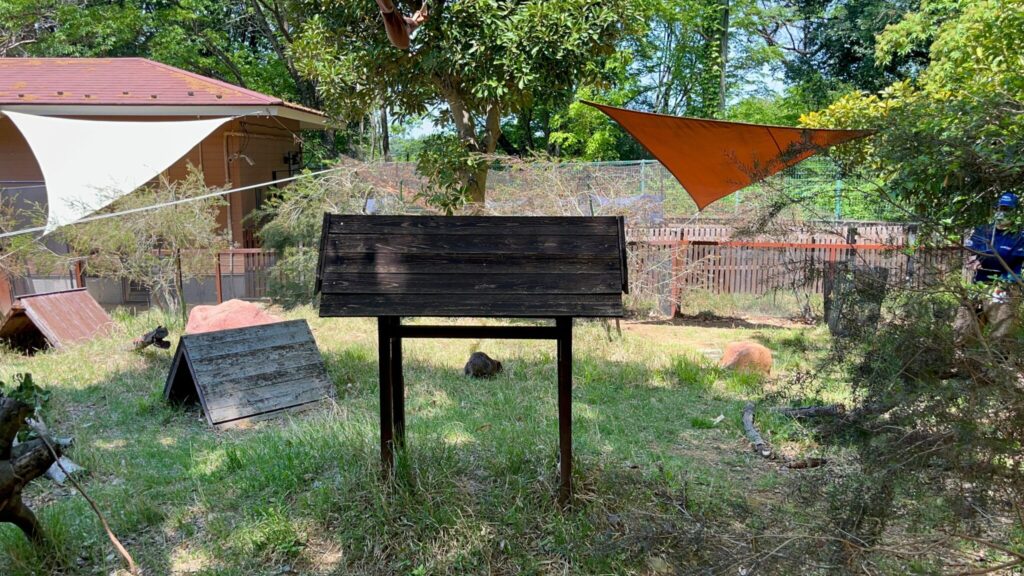 埼玉県子ども動物自然公園のクオッカアイランド